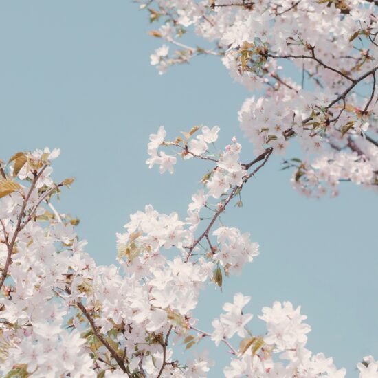 やさしく整える、春の頭皮ケア